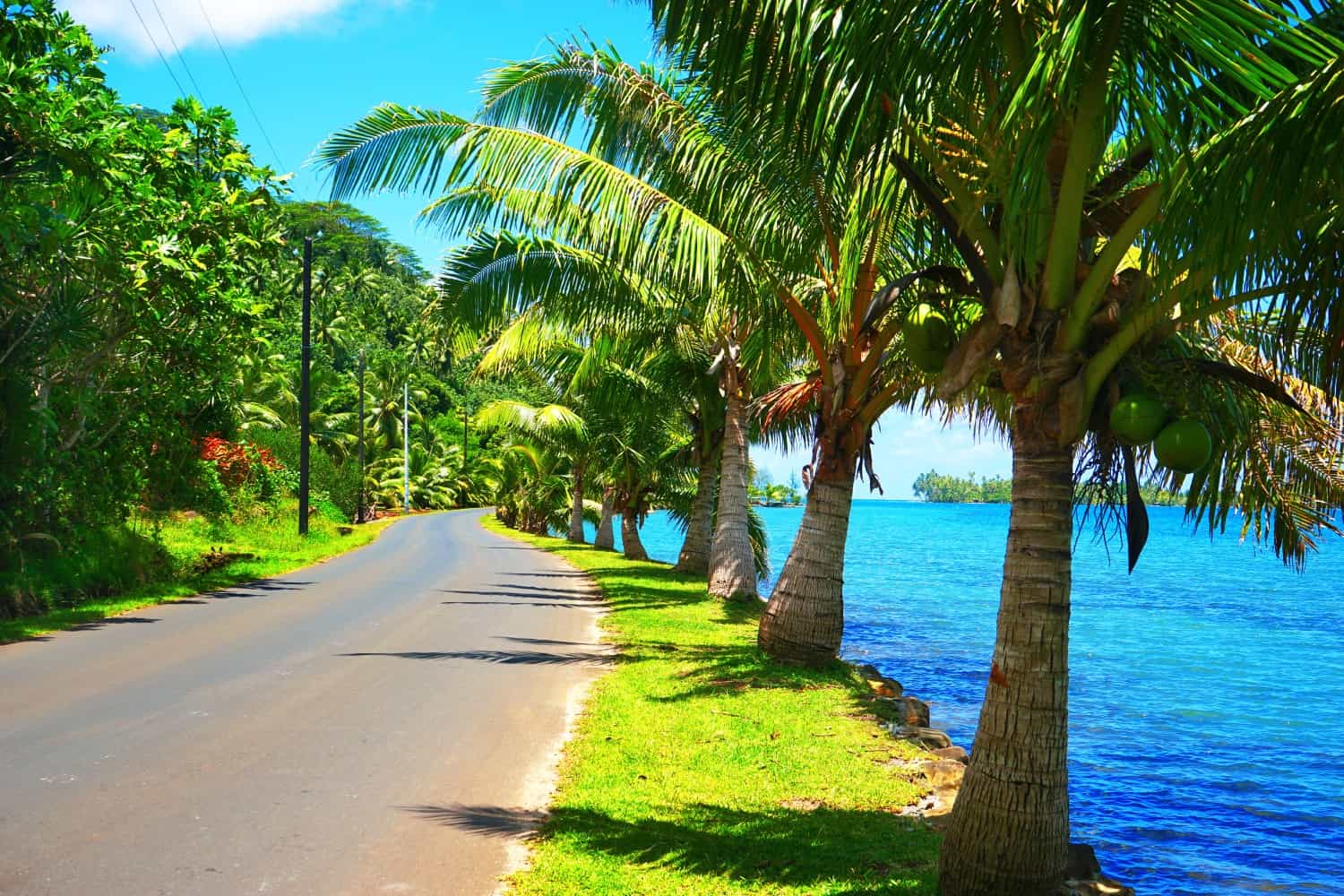 Road in Huahine