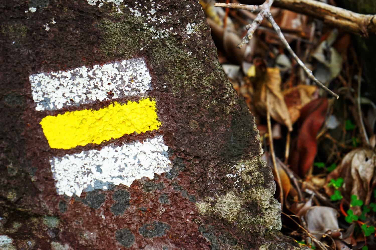 Trail markers on Maupiti