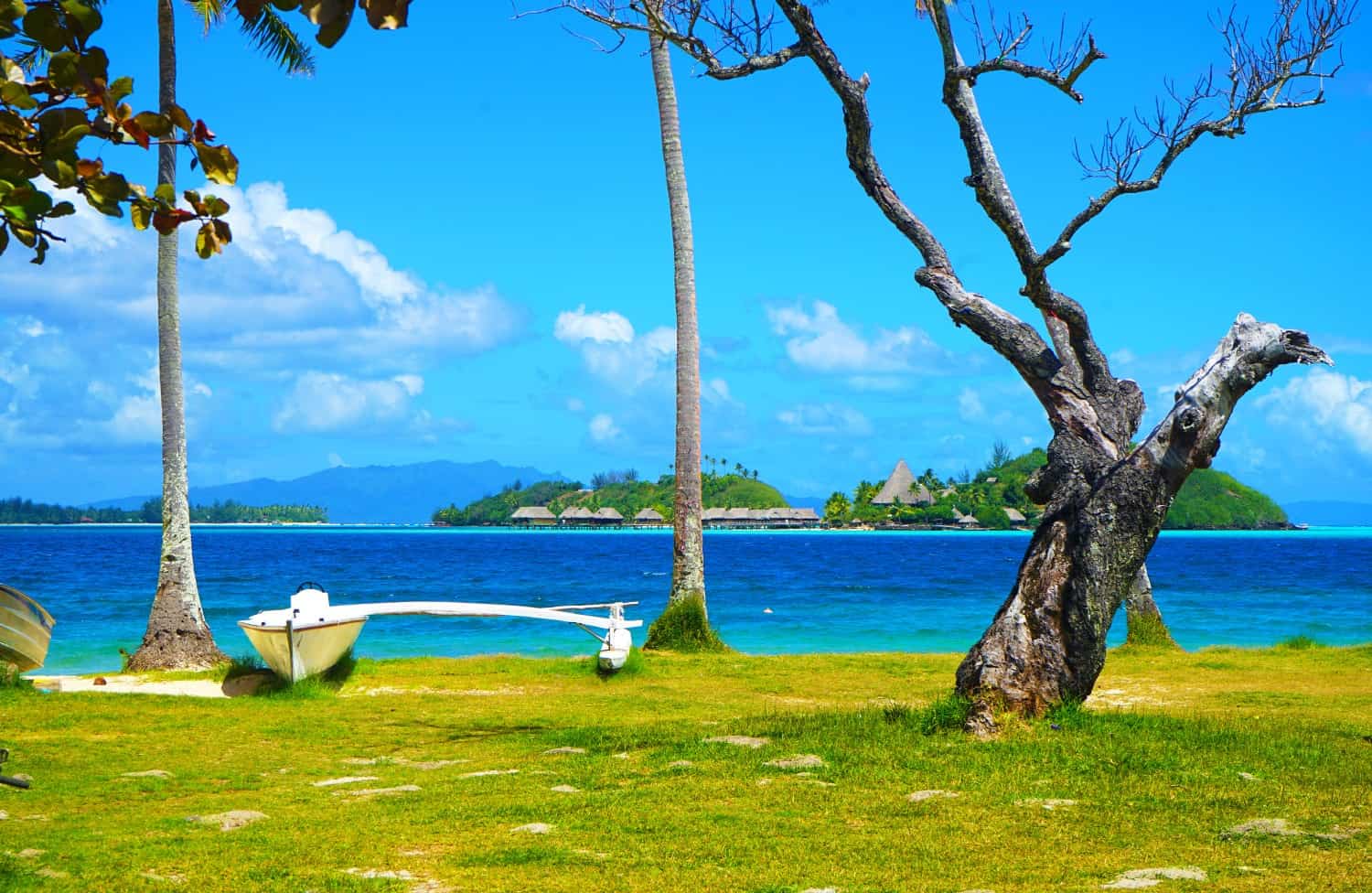 bora bora resort view