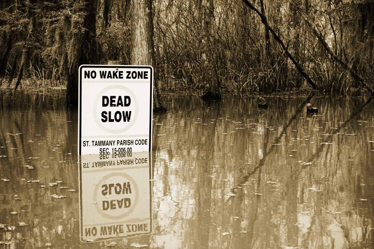 dead slow swamp sign