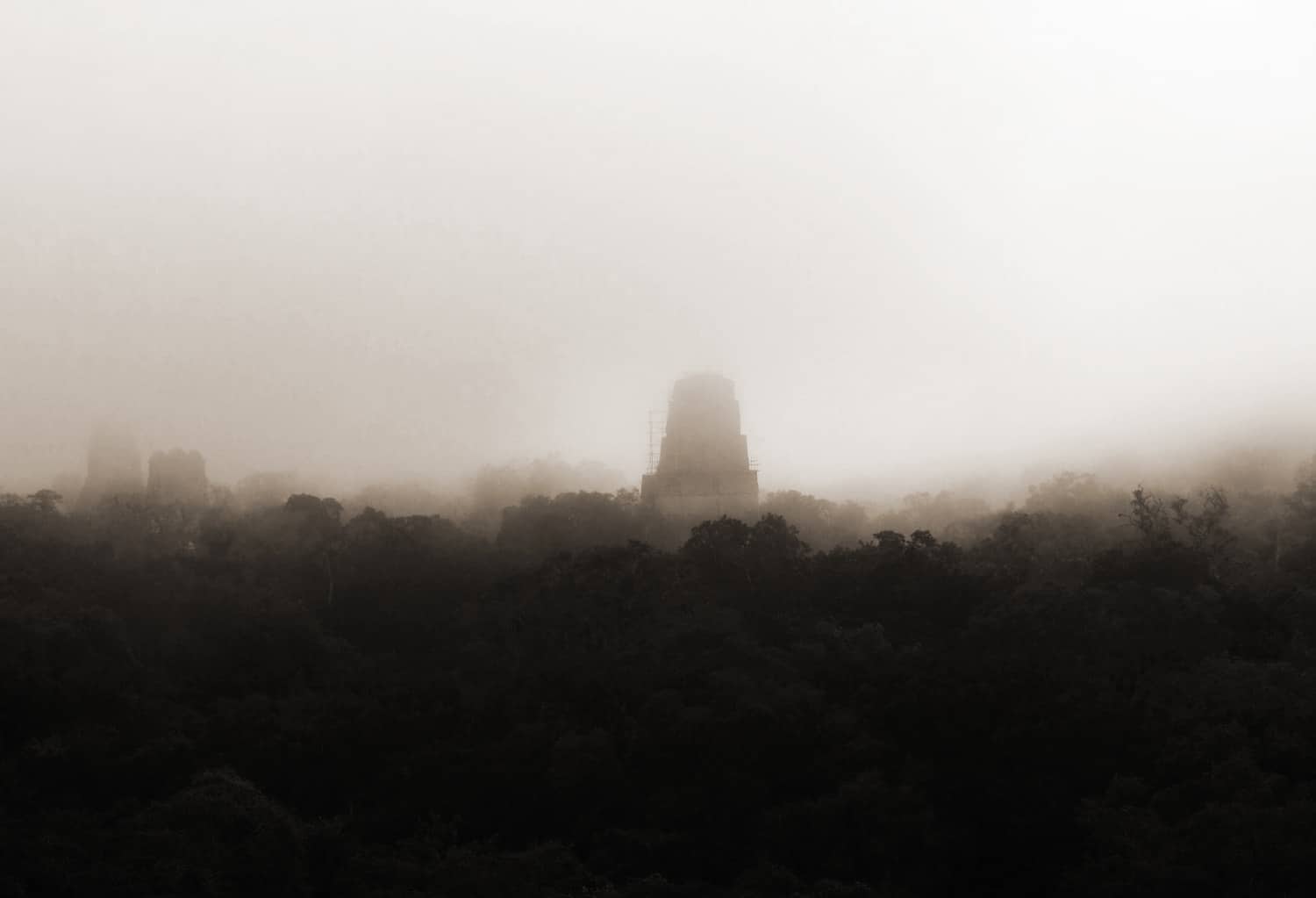 Tikal in the fog