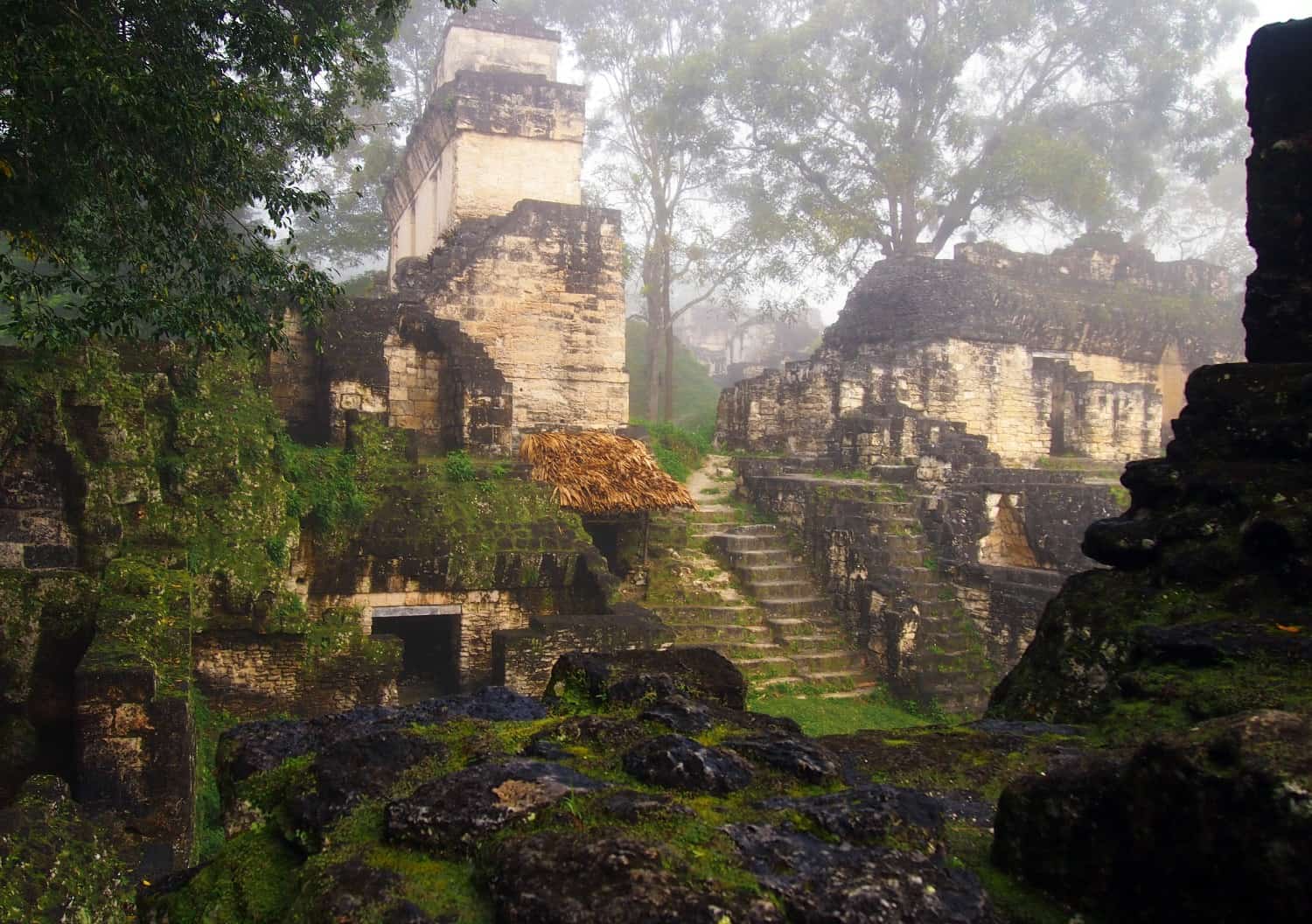 Tikal in the mist