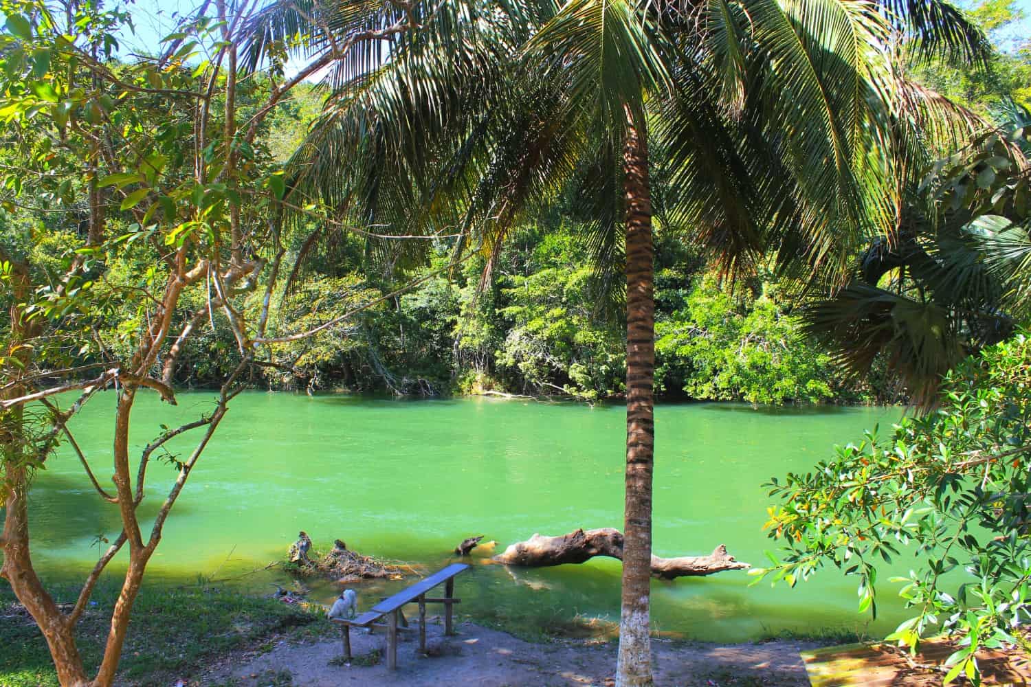 Xunantunich river