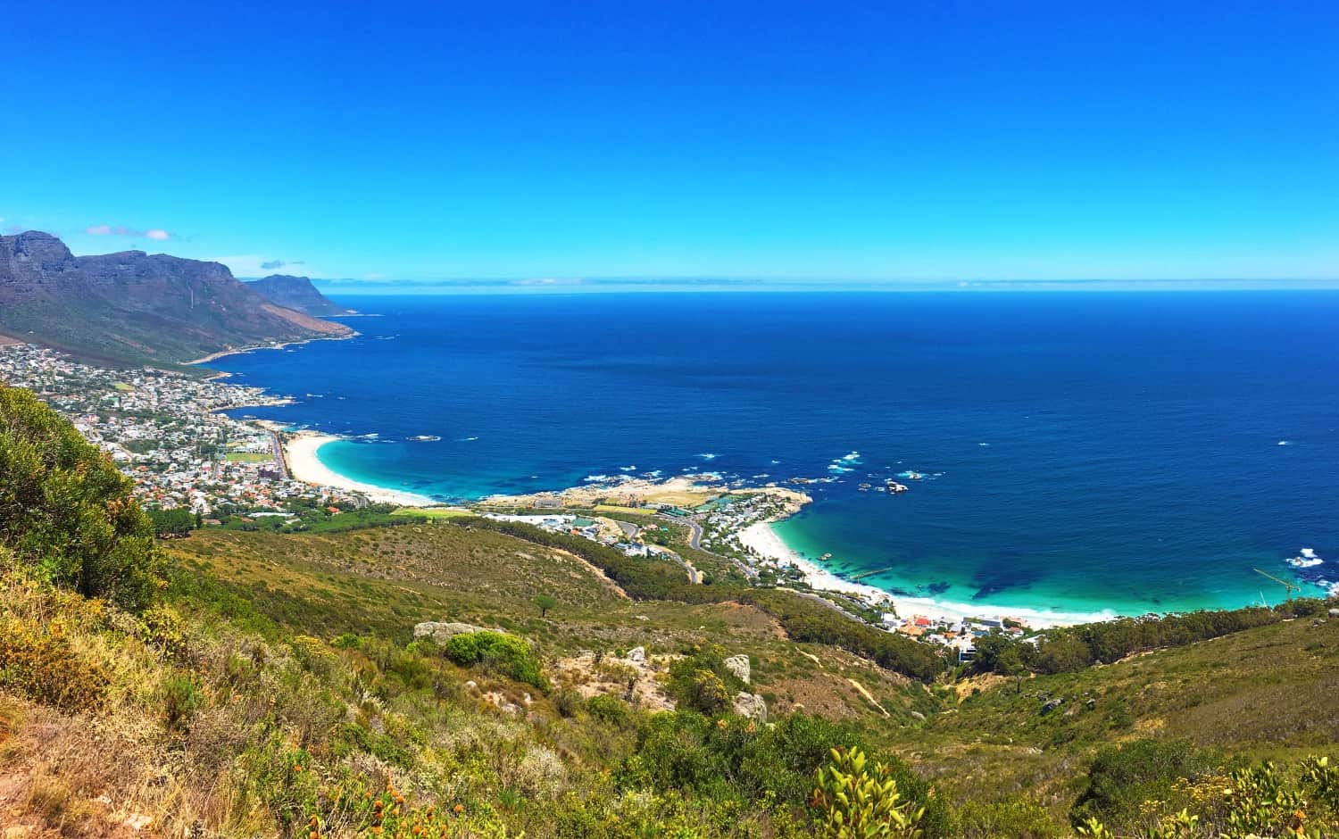 From the top of Lions Head