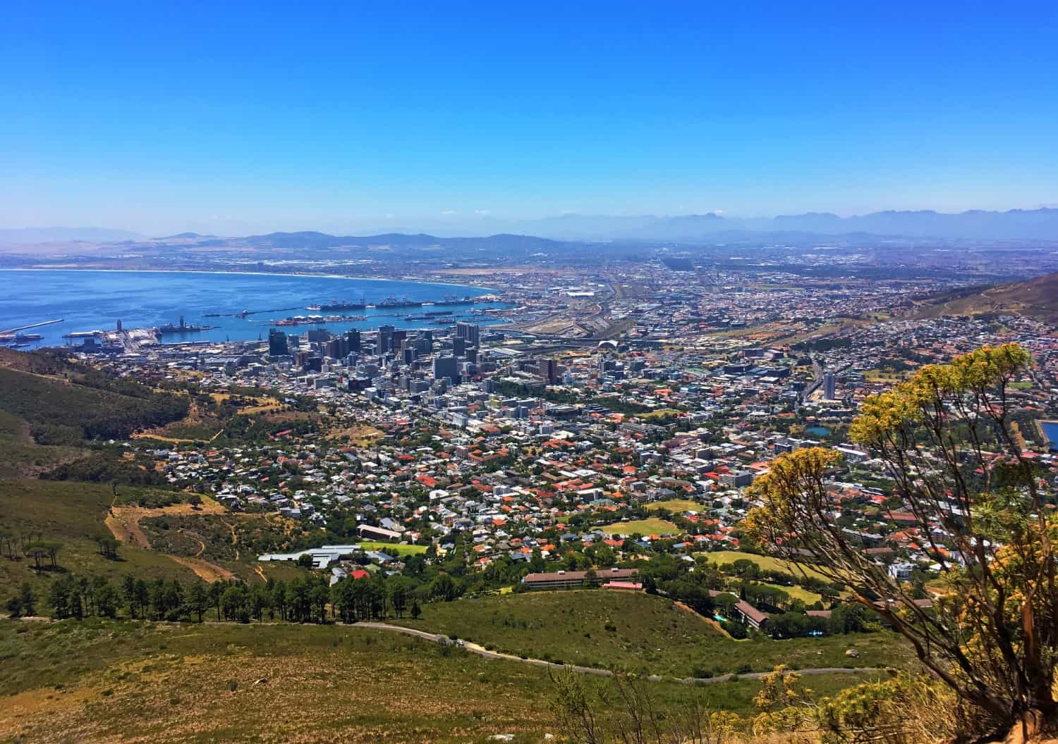 Views of Cape Town