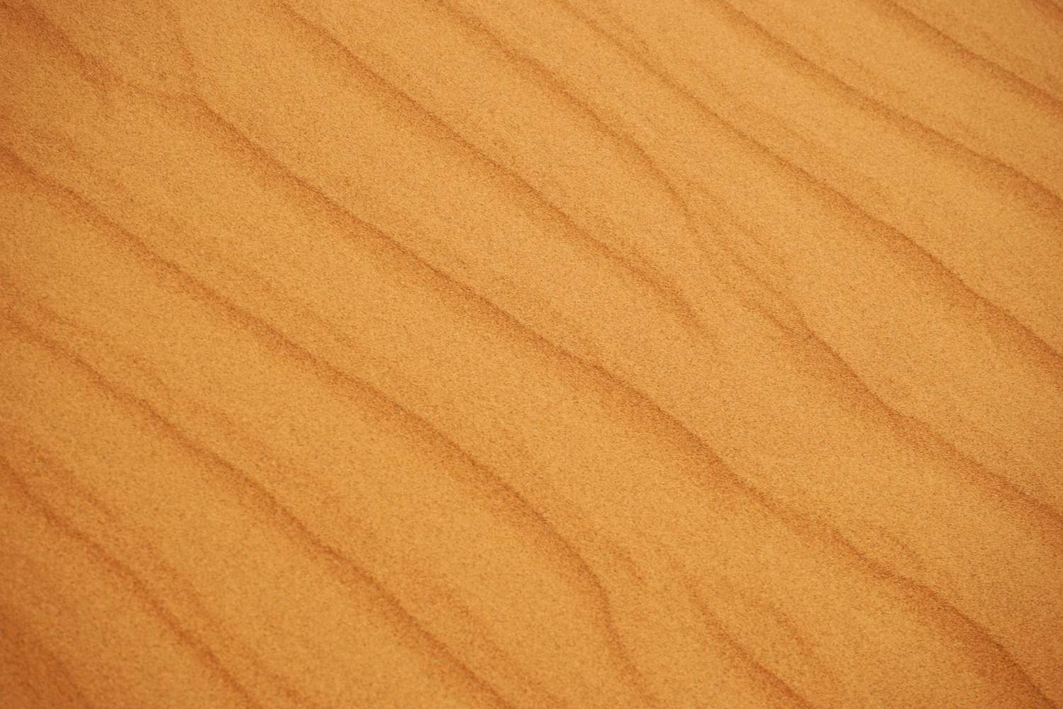 Close up of Dubai desert