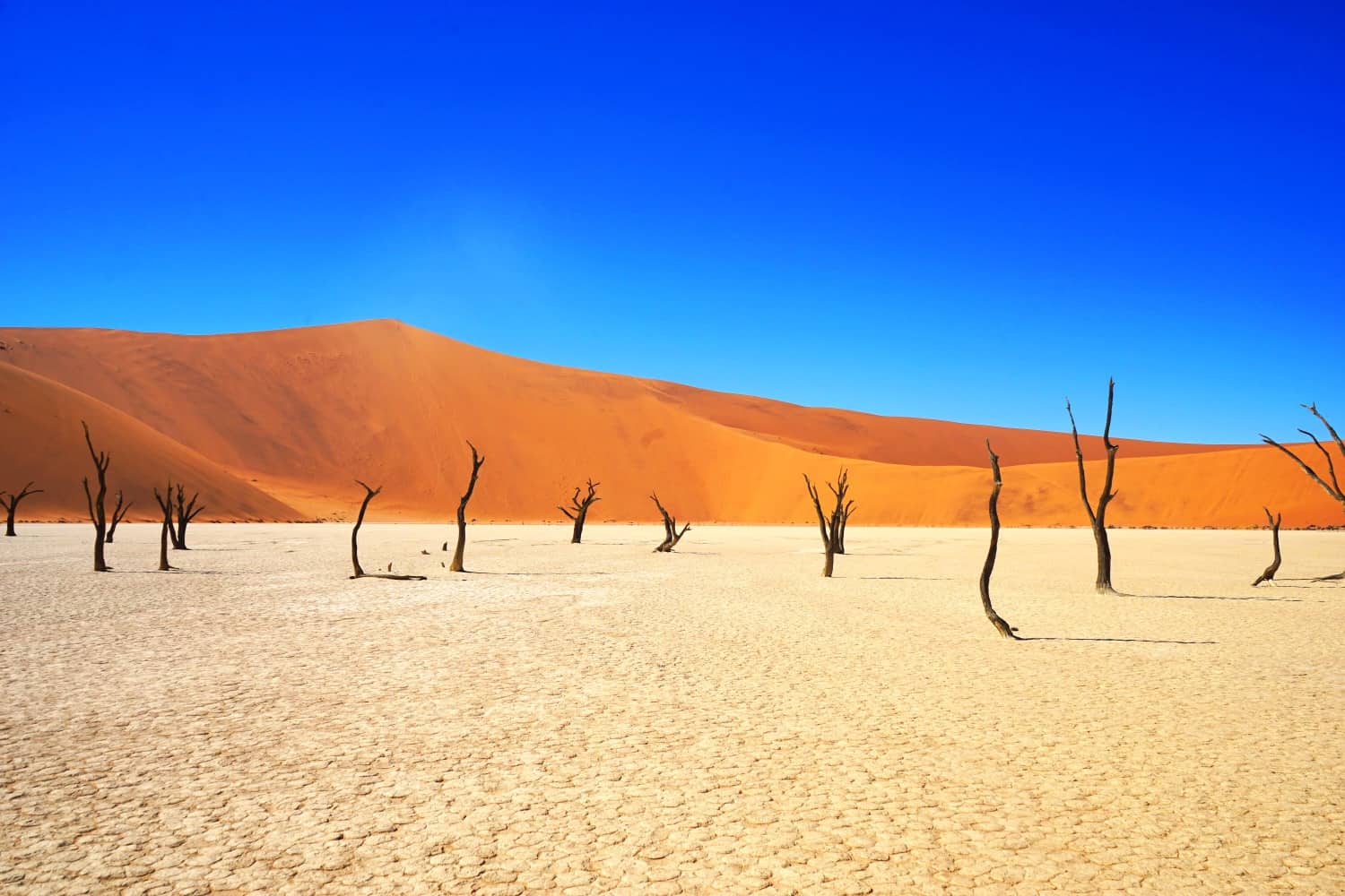 Dead Vlei Namibia