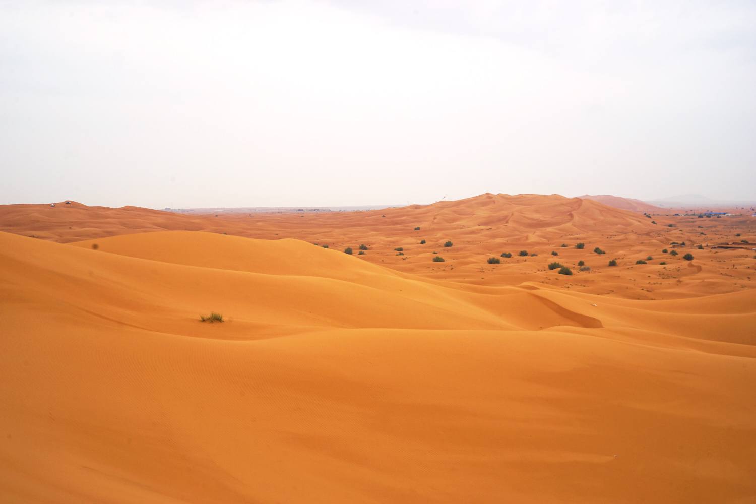 Desert in Dubai