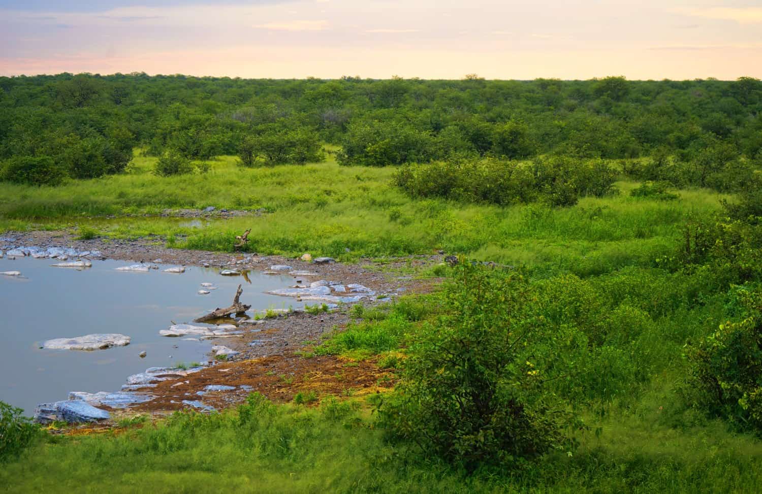 Halali waterhole Namibia at Sunset