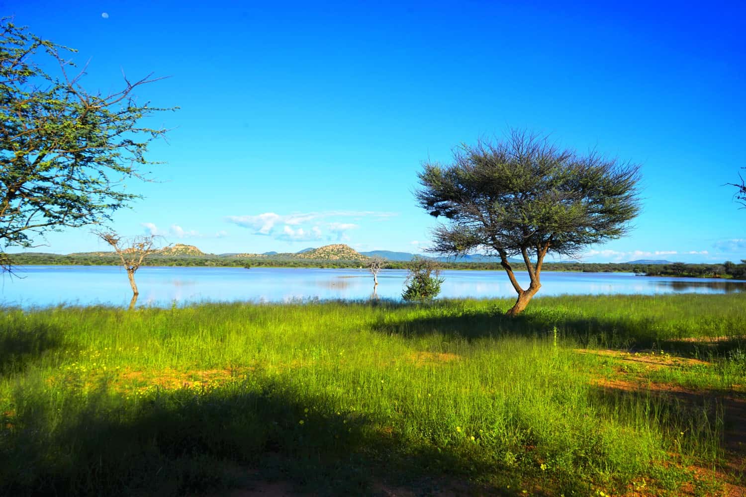 Lake at Ovita Wildlife Restcamp