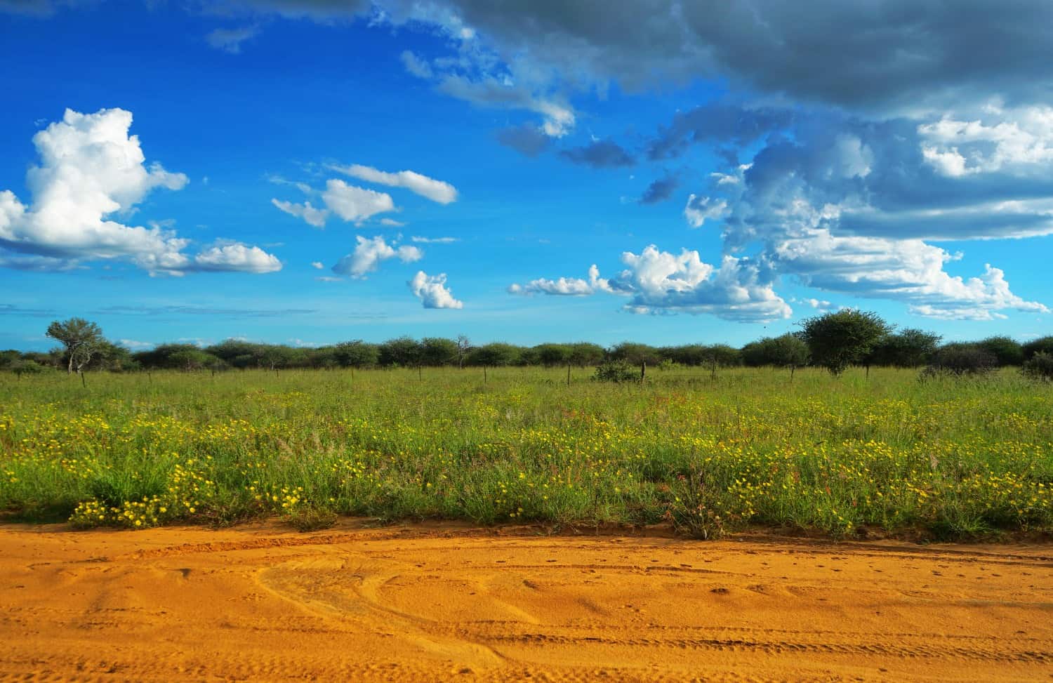 Namibia green countryside