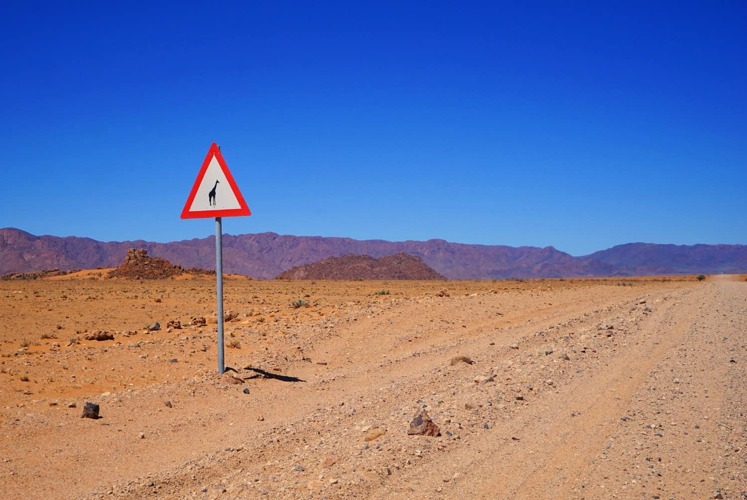 giraffe road sign