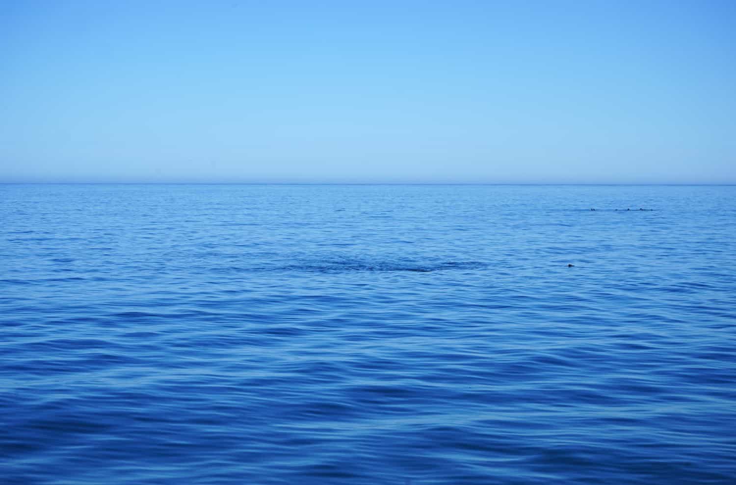 Calm waters in Walvis Bay