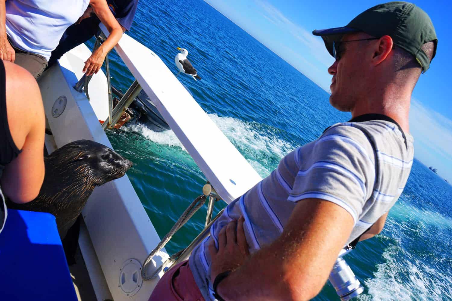 Dave and a seal in Walvis Bay