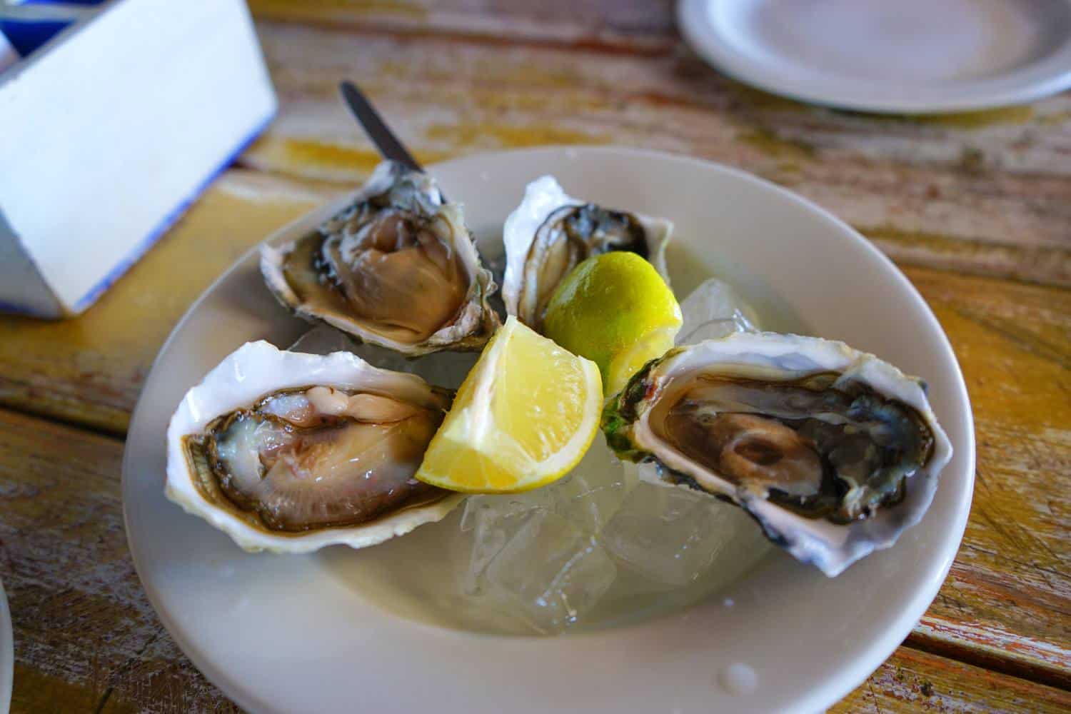 Oysters in Walvis Bay