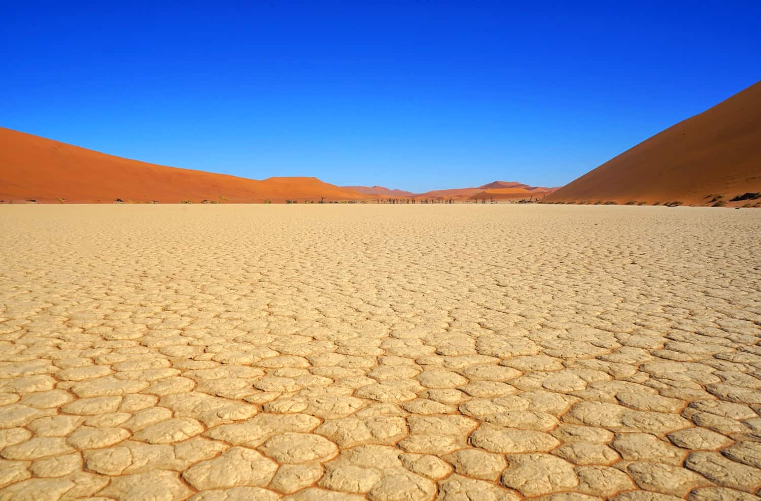 Dead Vlei Namibia