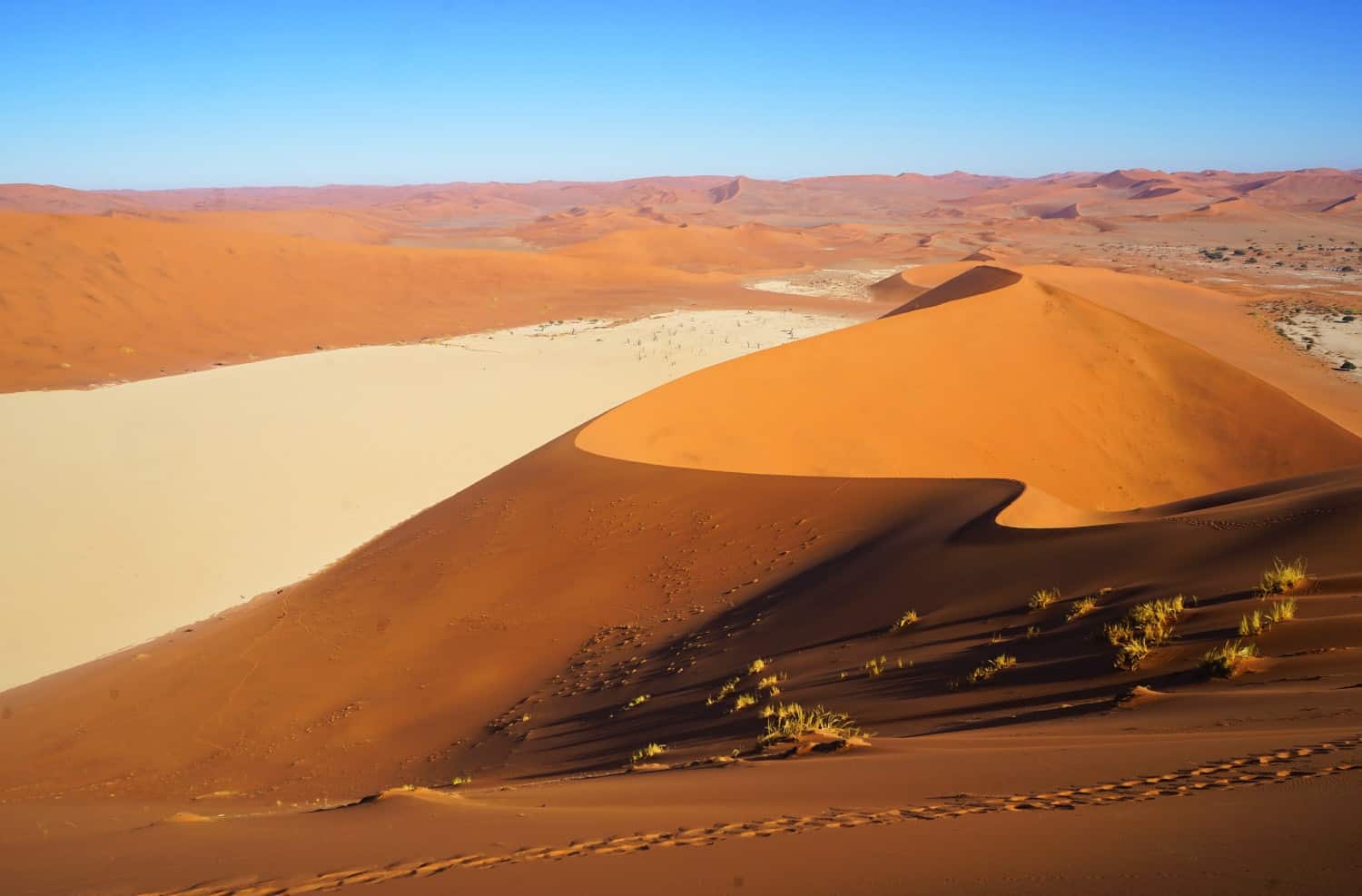 Dead Vlei from above