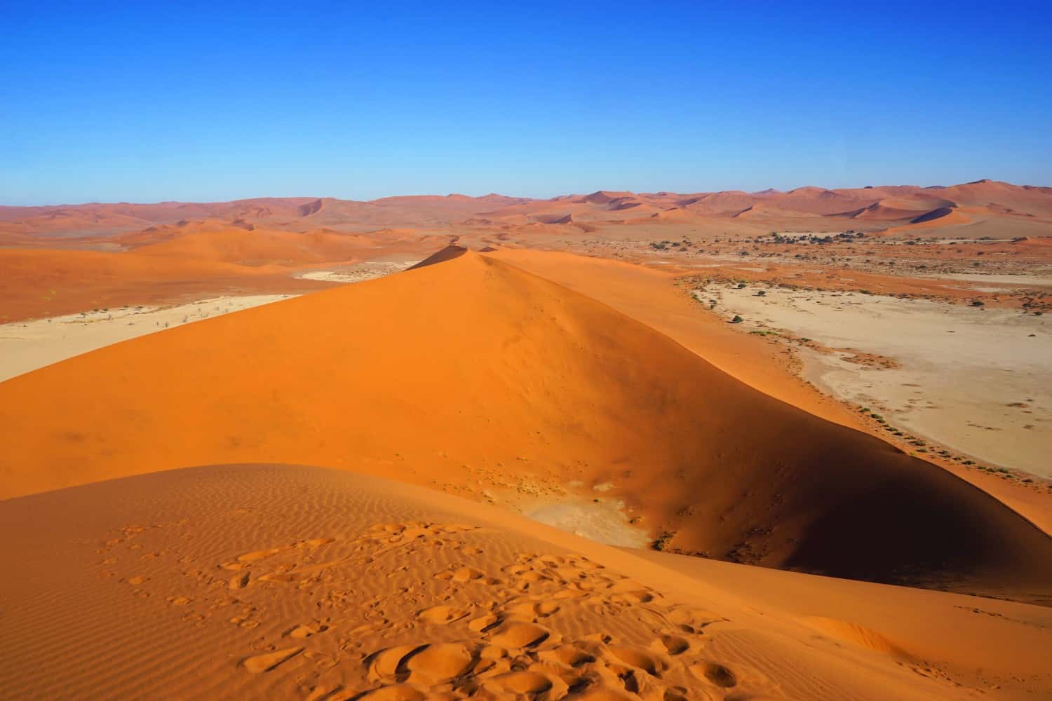 Sossusvlei sand dunes