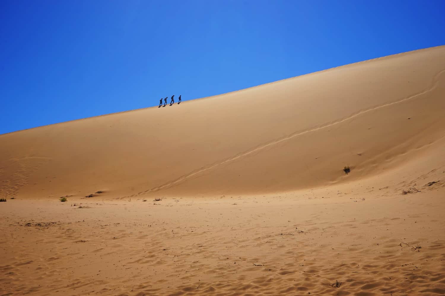 Walking up Big Daddy sand dune