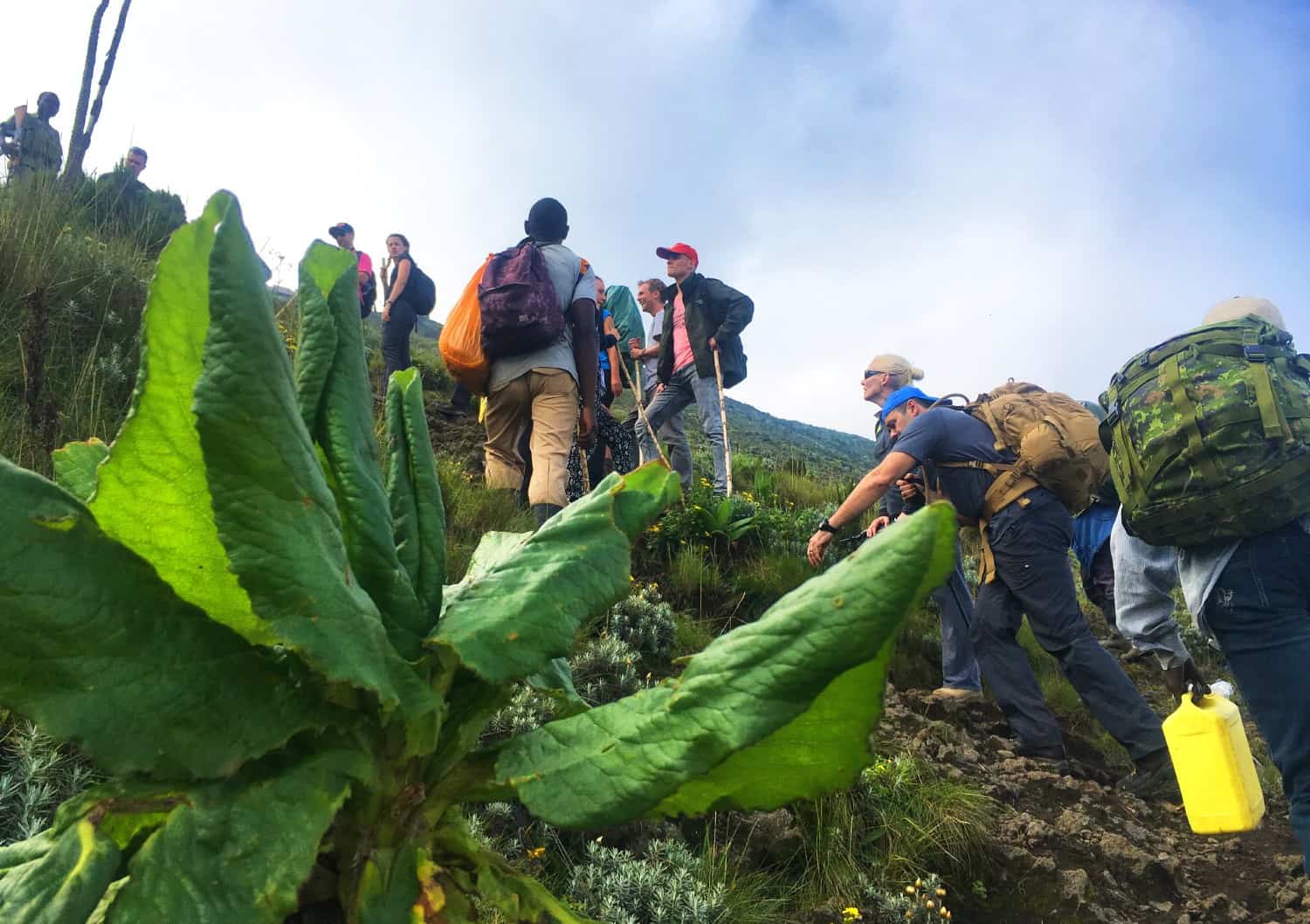 A steep climb on Mount Nyiragongo