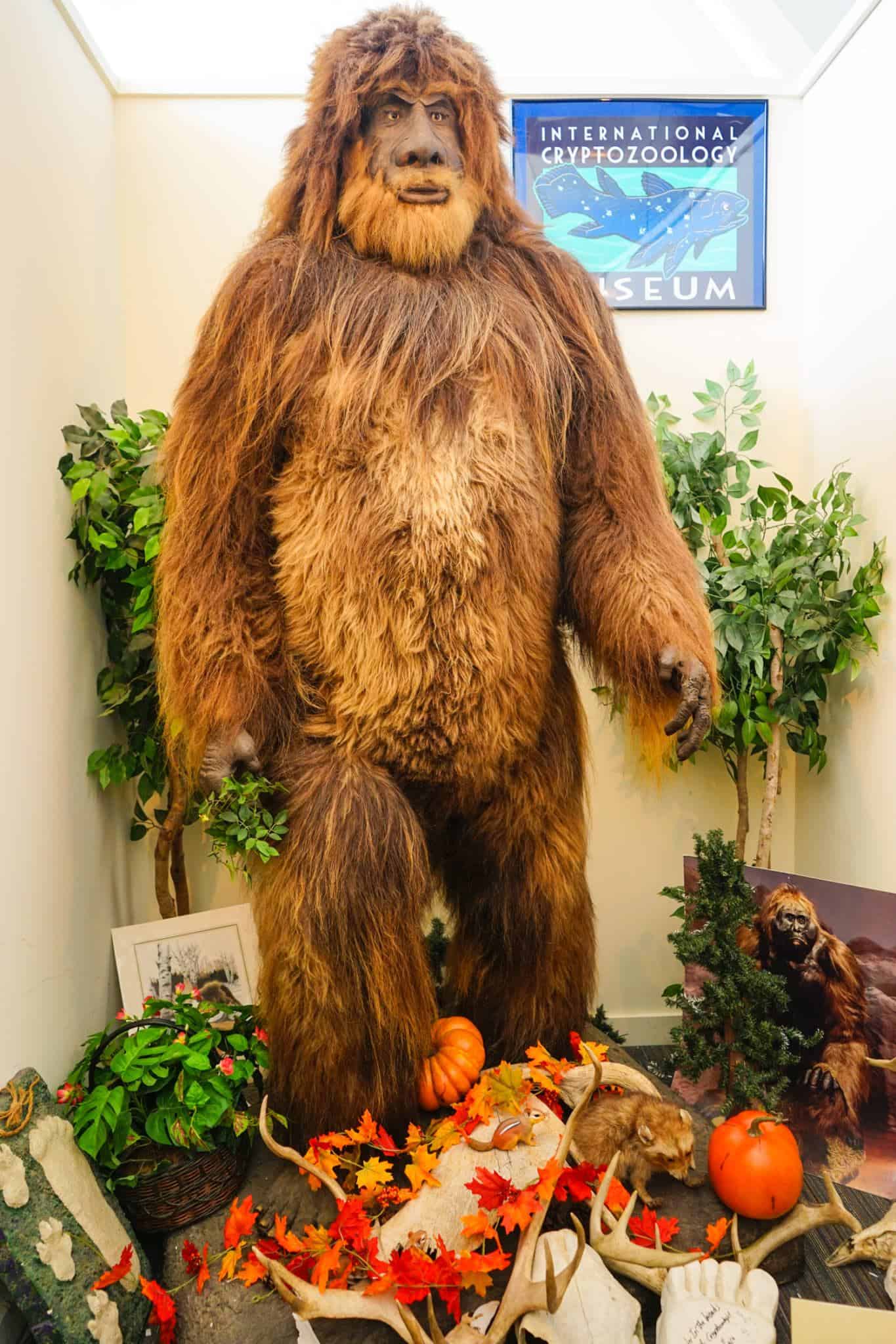Bigfoot is ready for fall