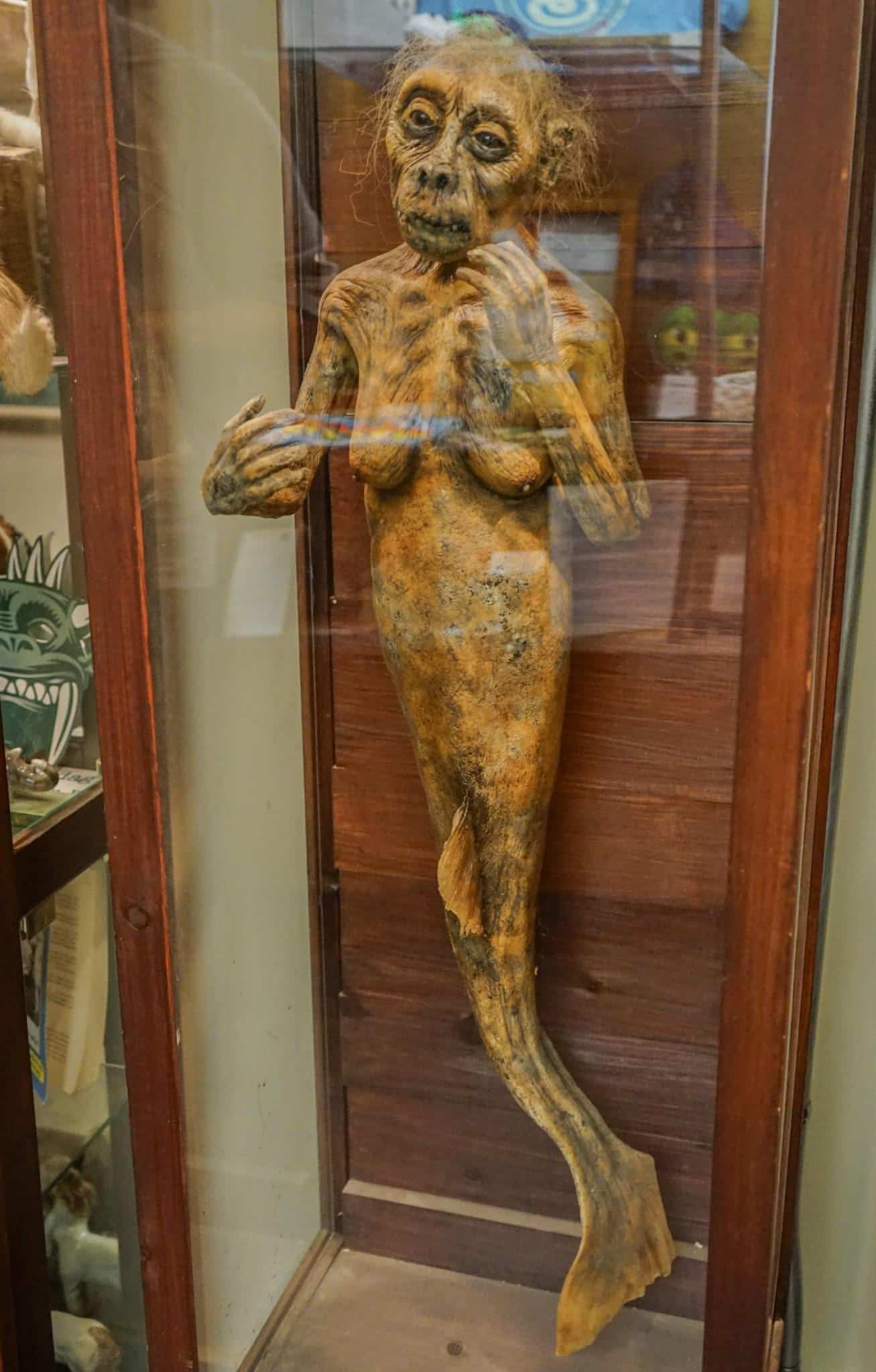 FeeJee Mermaid