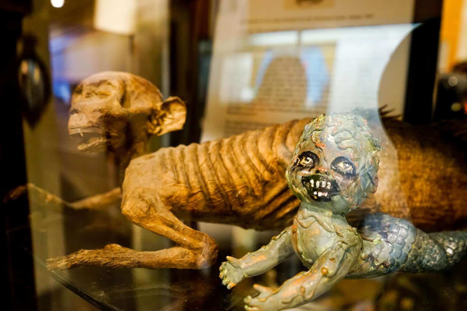 Monsters at the Cryptozoology Museum