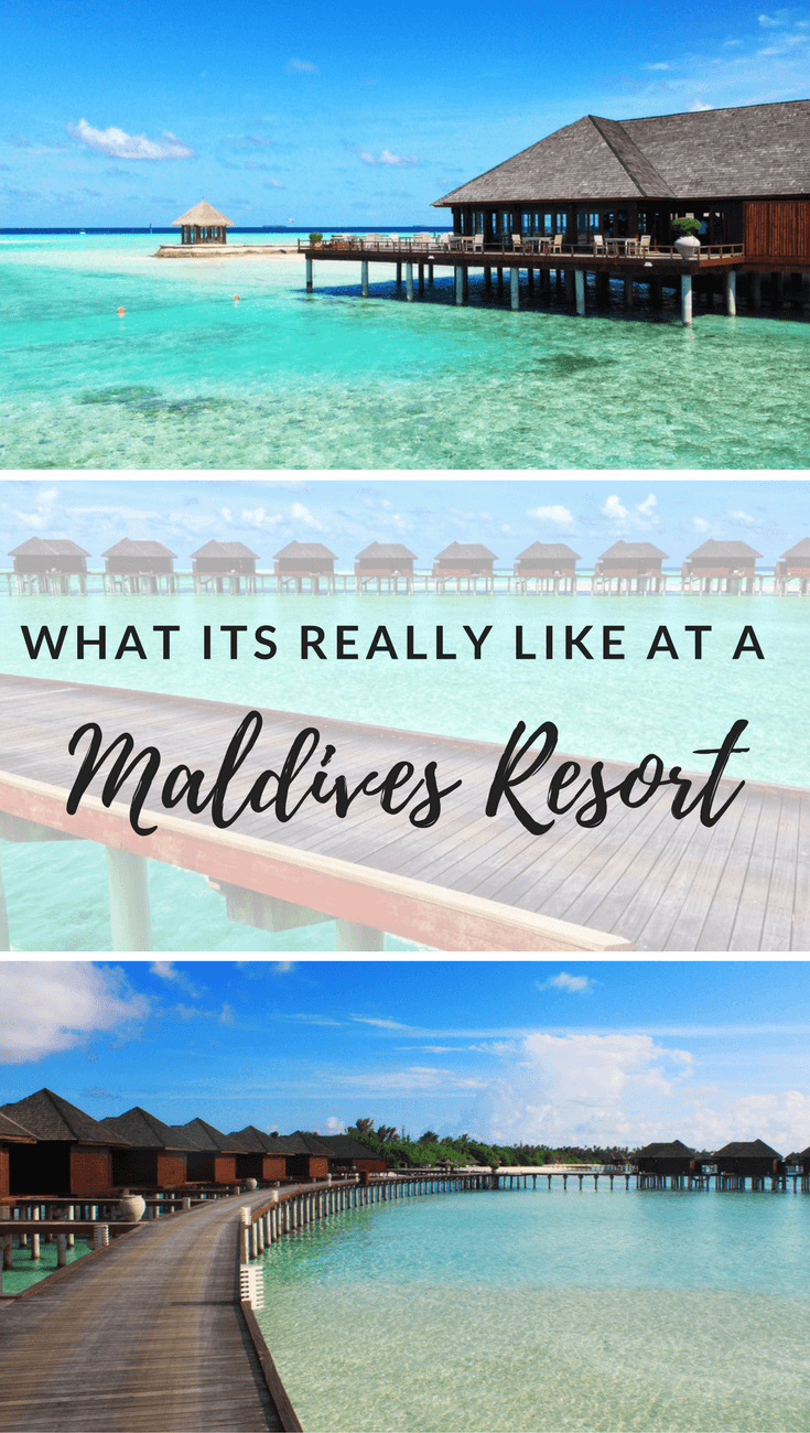 A review of Olhuveli Luxury Resort in the Maldives, including details on how you can avoid paying for the expensive ferry transfer from Male.
