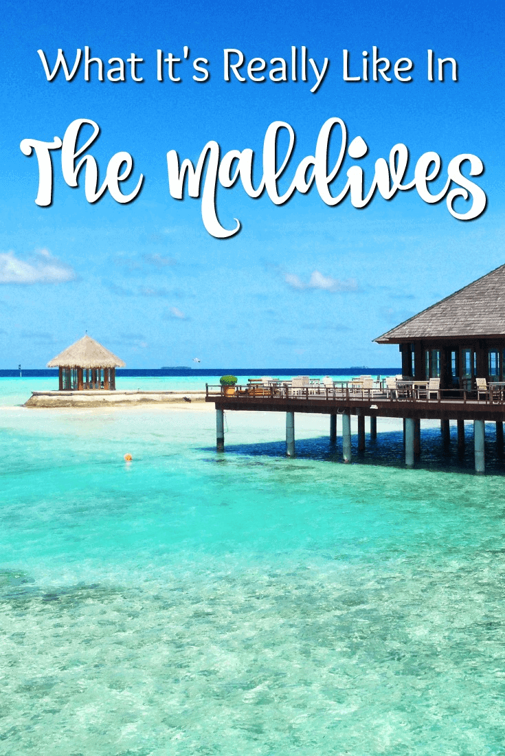 A review of Olhuveli Luxury Resort in the Maldives, including details on how you can avoid paying for the expensive ferry transfer from Male.