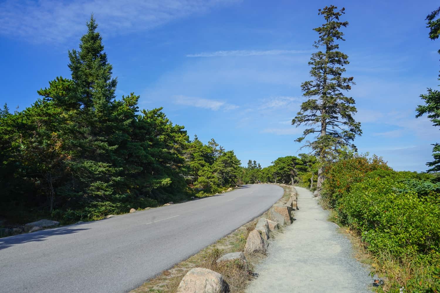 Winding road in Acadia National Park
