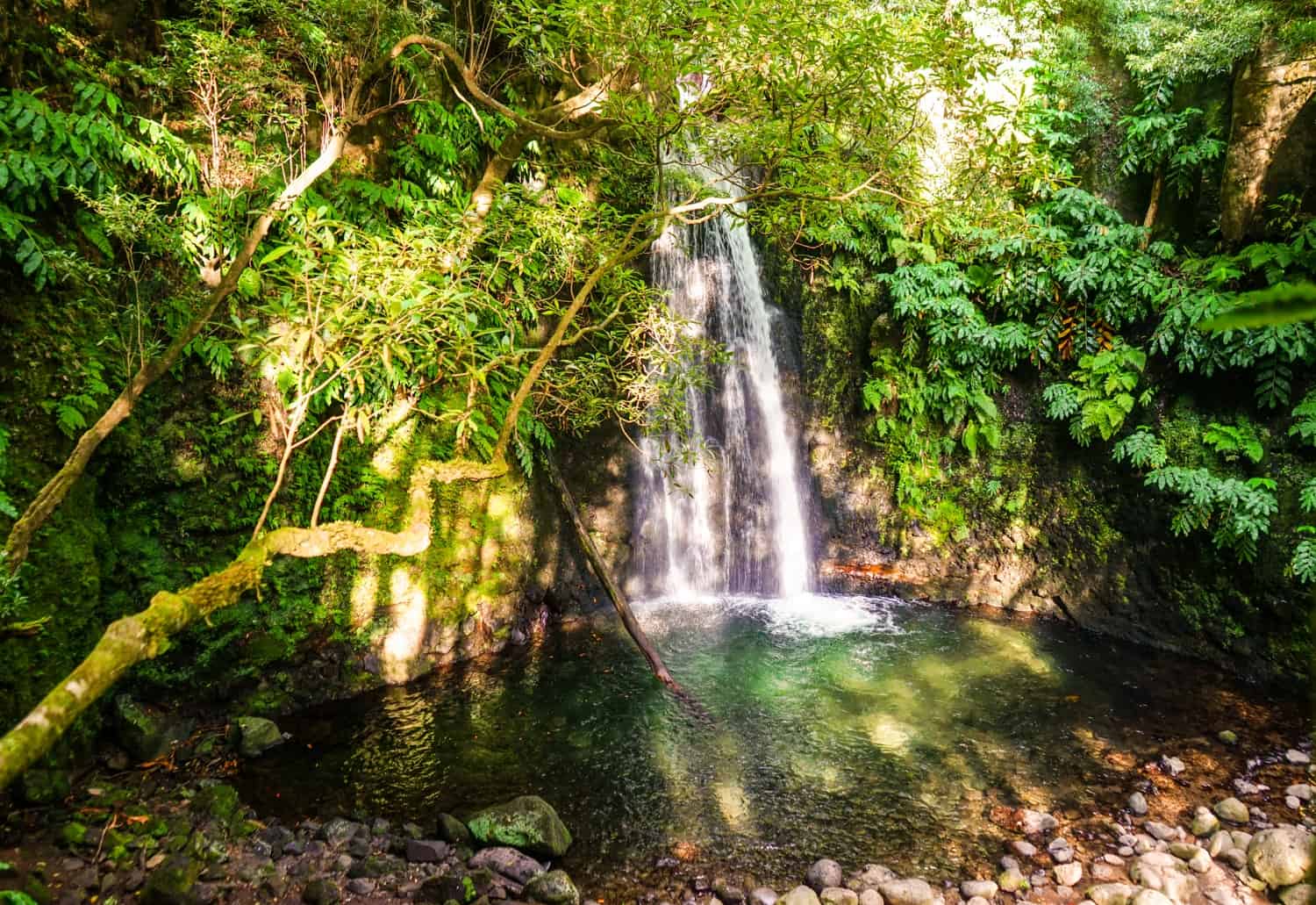 Waterfall in the Azores