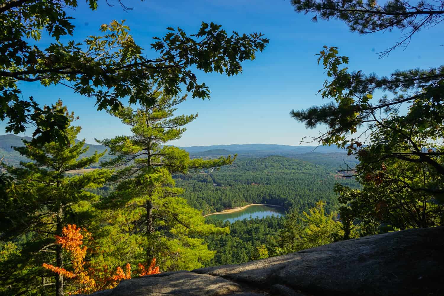 White Mountains viewpoint