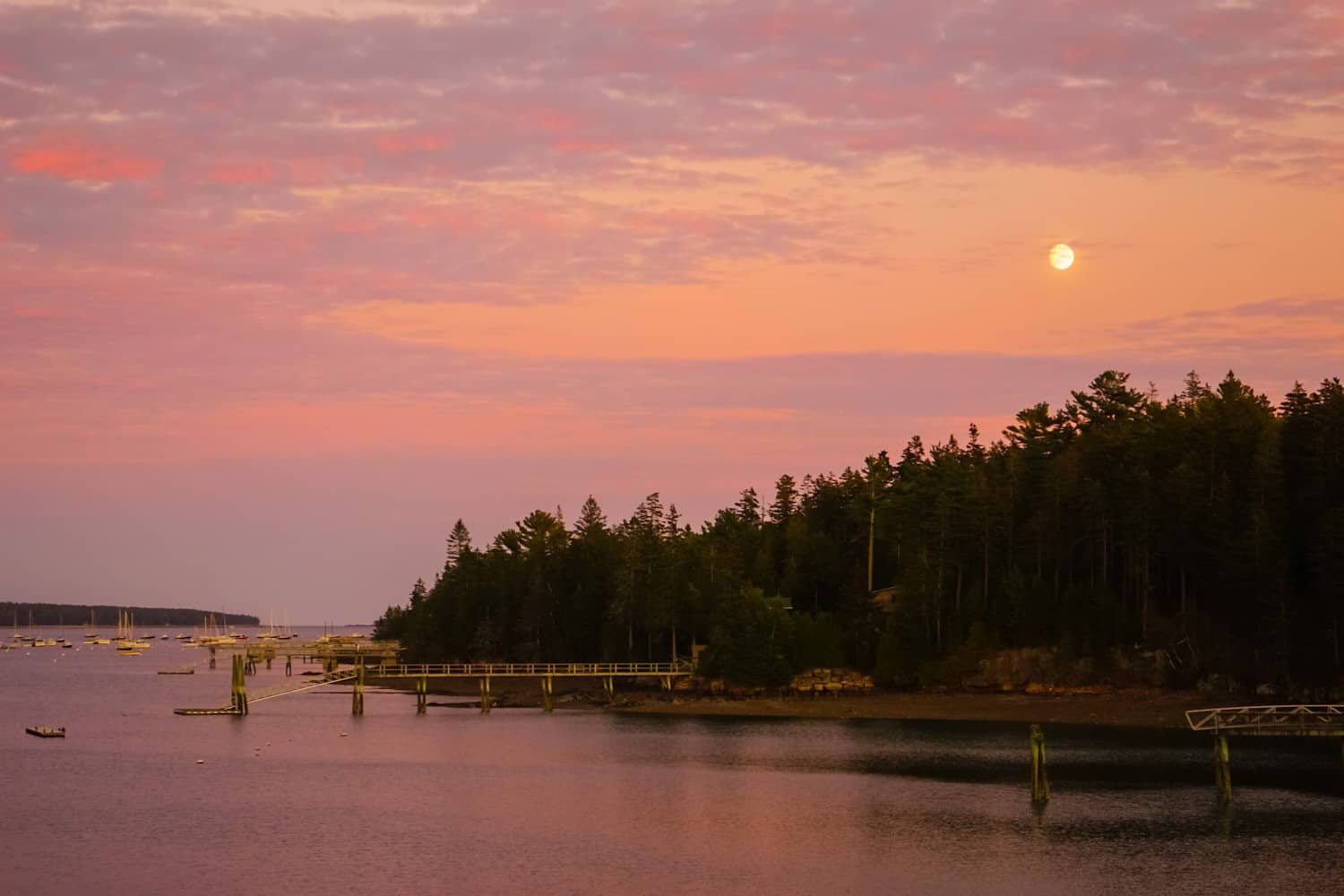 Acadia at sunset