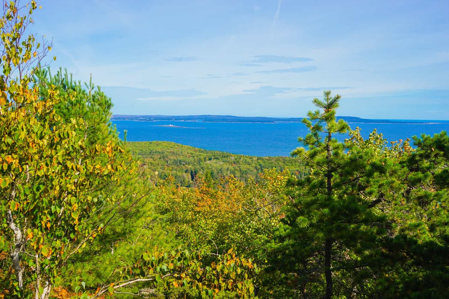 Acadia fall colors