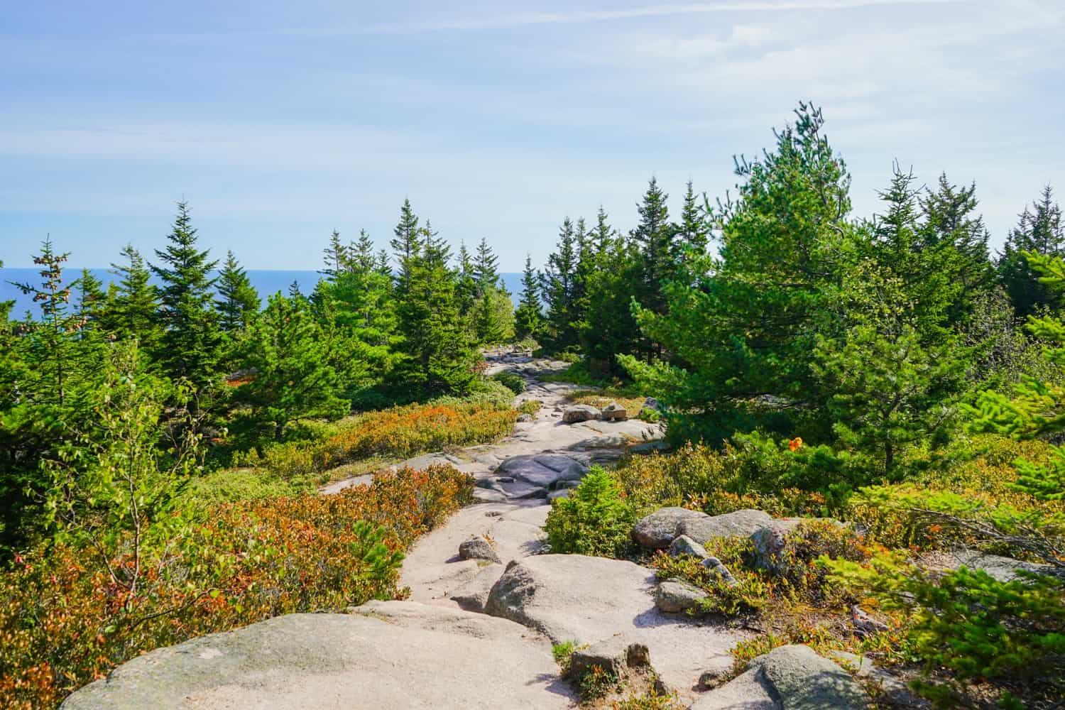 Acadia granite pathway