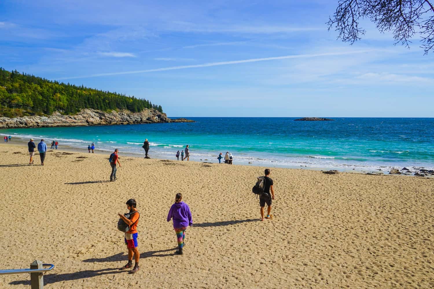 Beach in Acadia National Park