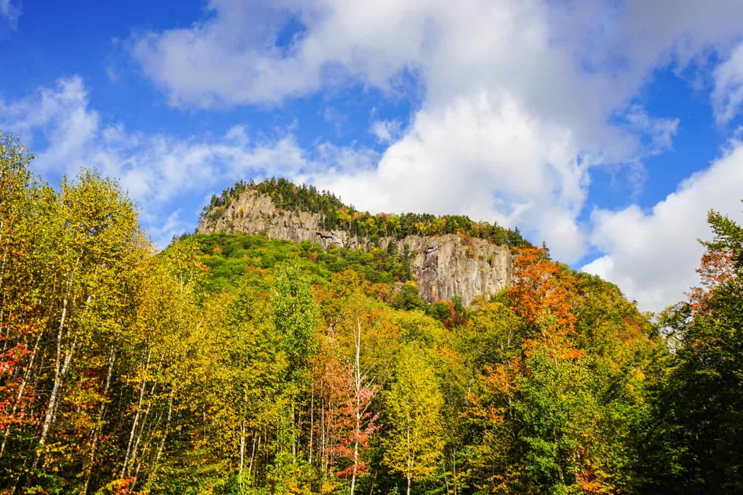 Fall colors in New Hampshire