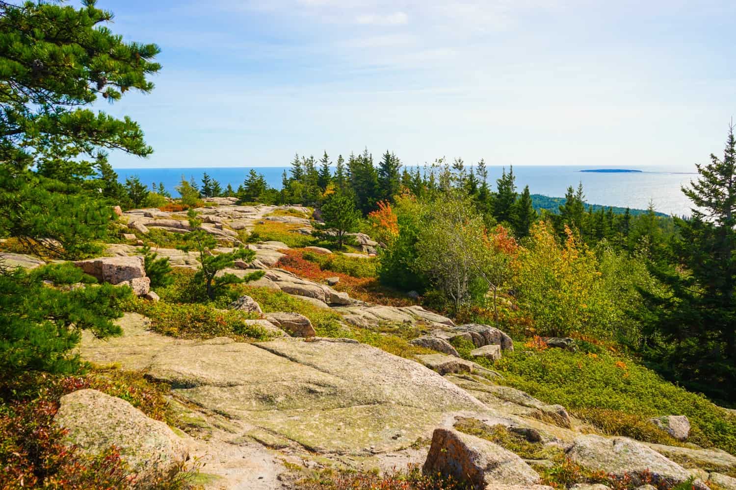 Top of Mount Gorham in Acadia National Park