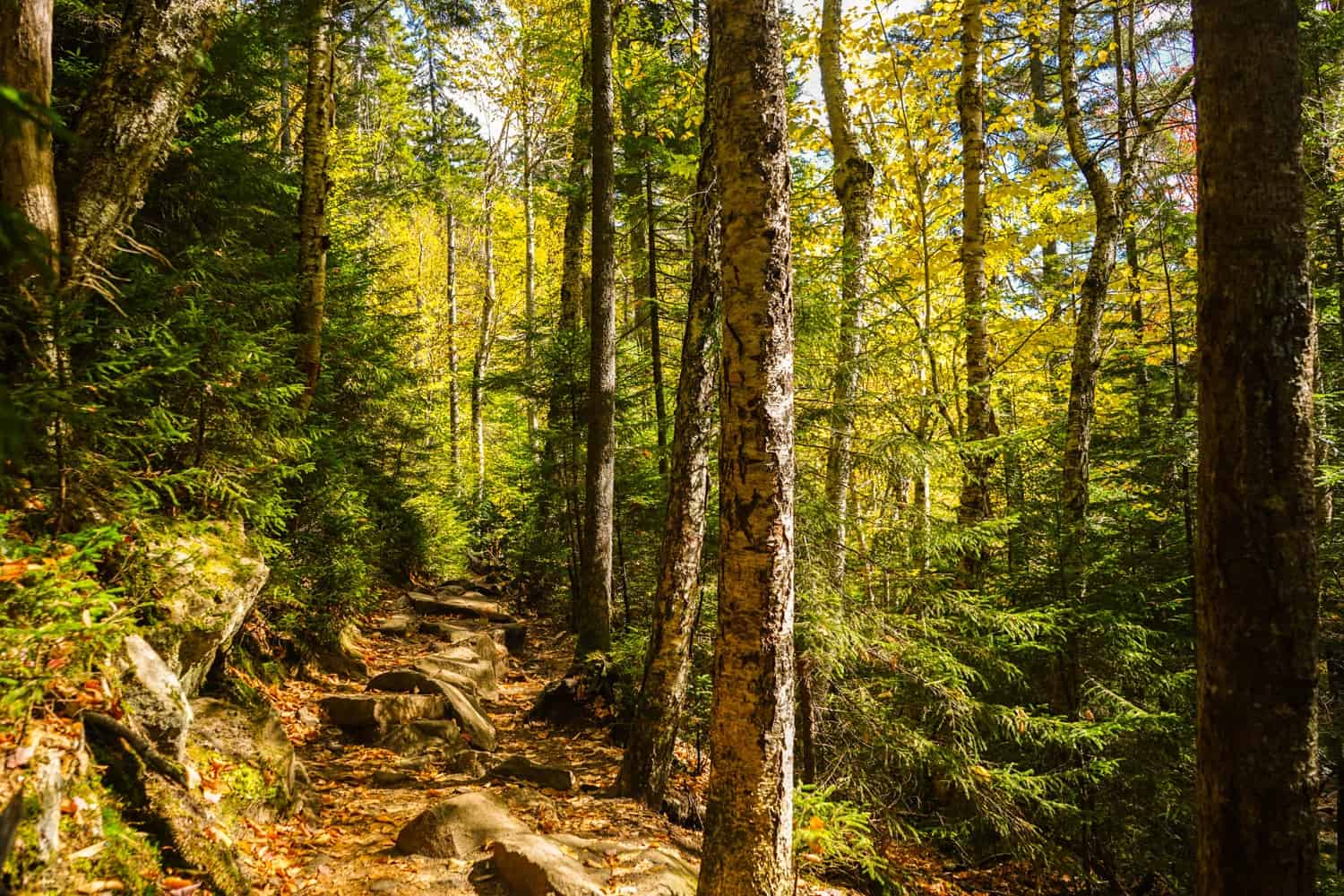 new hampshire hike