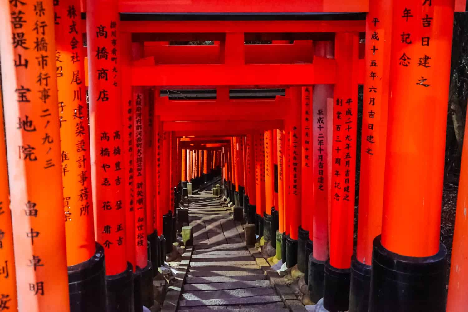 Red torii Gates in Kyoto at night