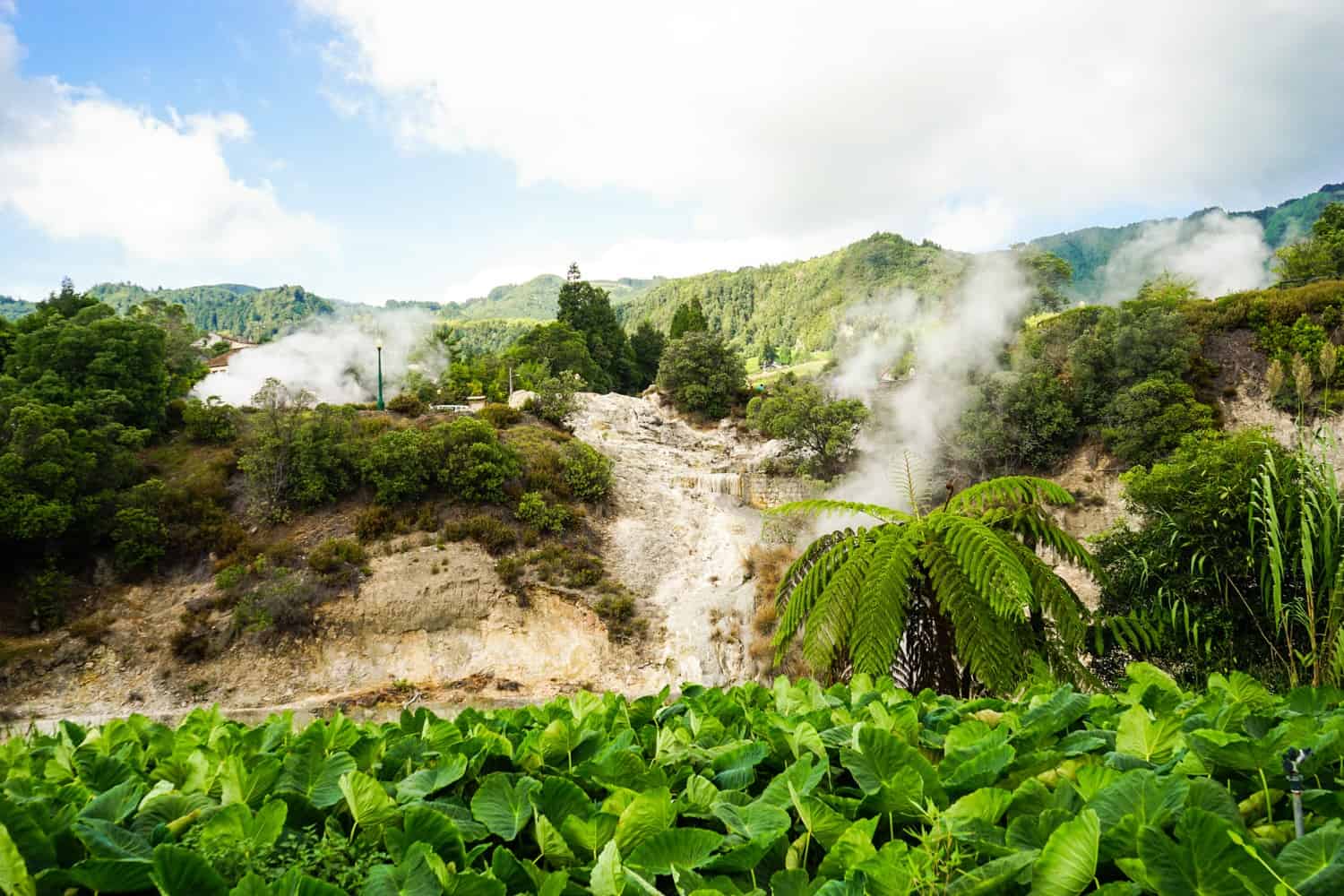 Geothermal activity in the Azores