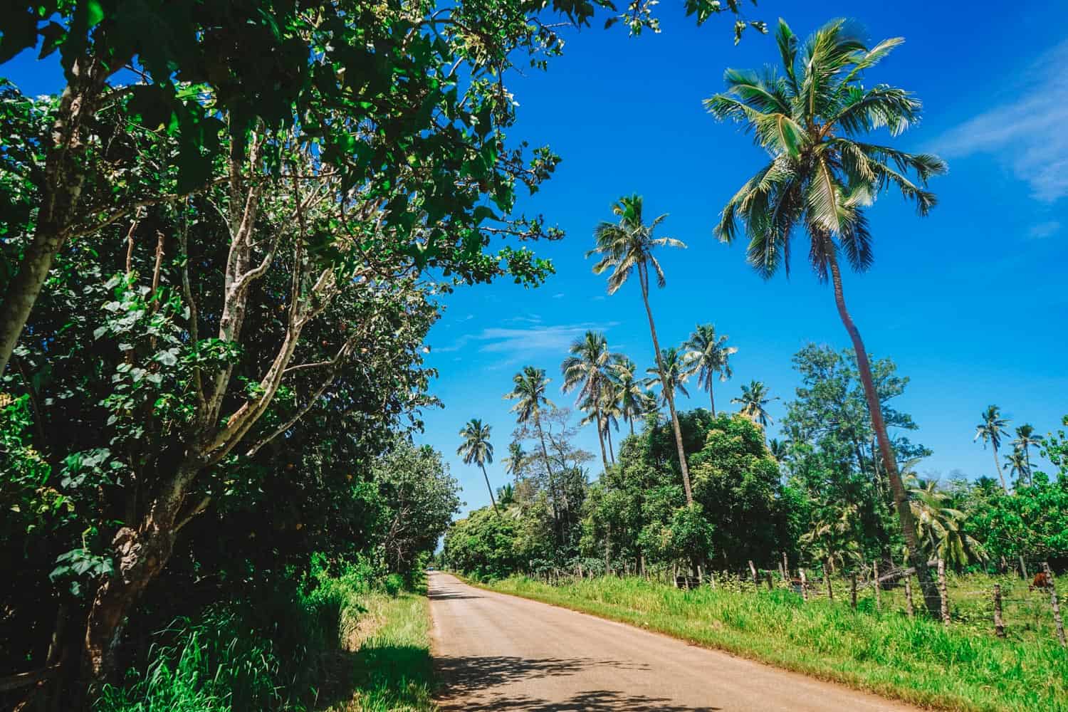 Road on Tongatapu