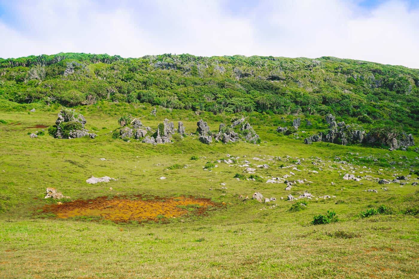 Rock Garden in Eua Tonga