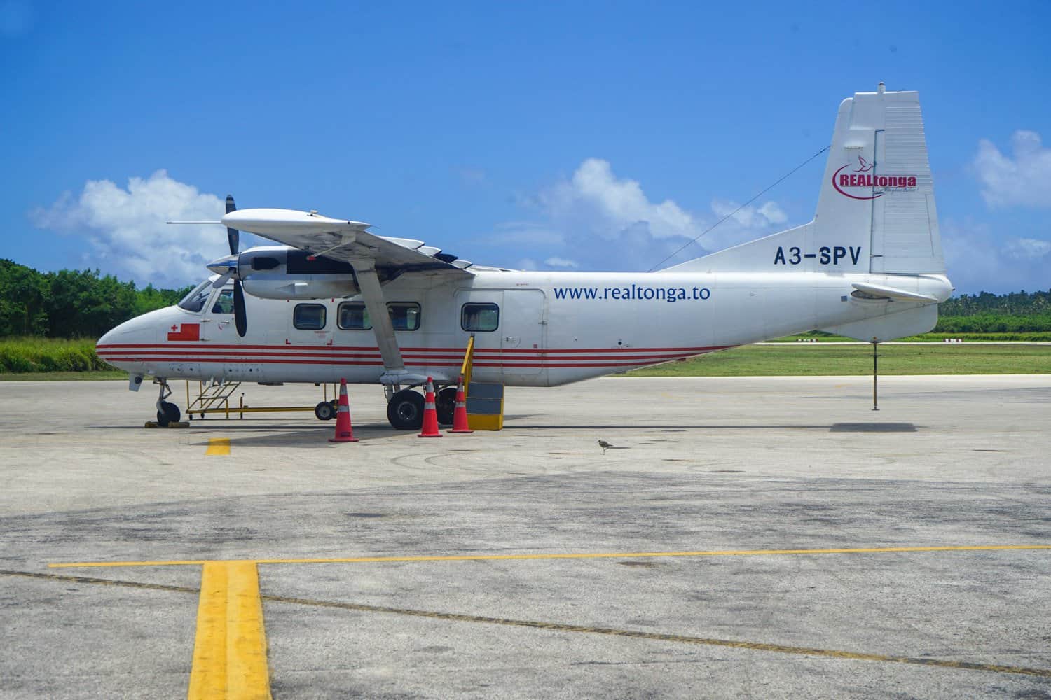 Small Real Tonga plane