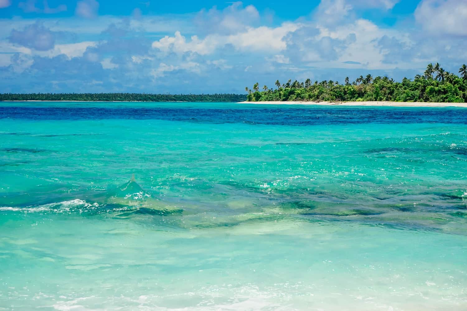 Sea at Matafonua Lodge Tonga