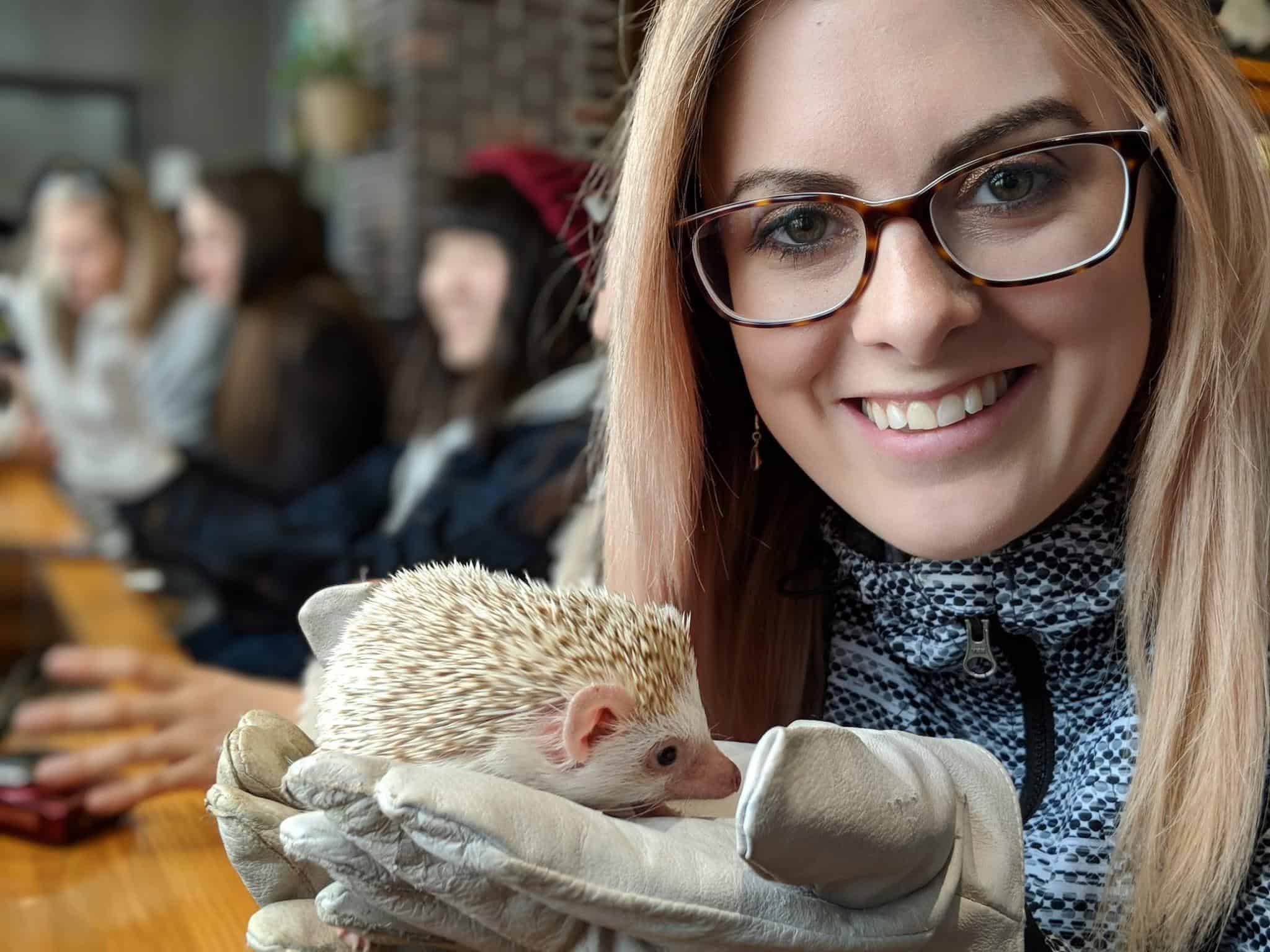 Girl holding hedgehog at hedgehog cafe in Japan