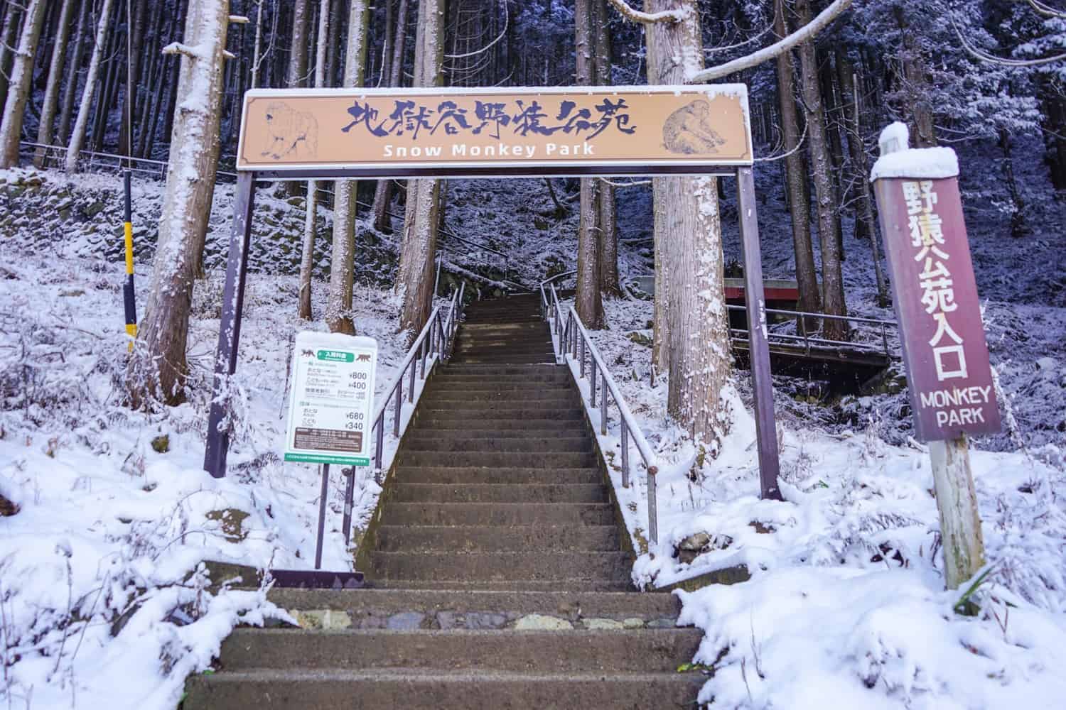 Snow Monkey Park in Japan