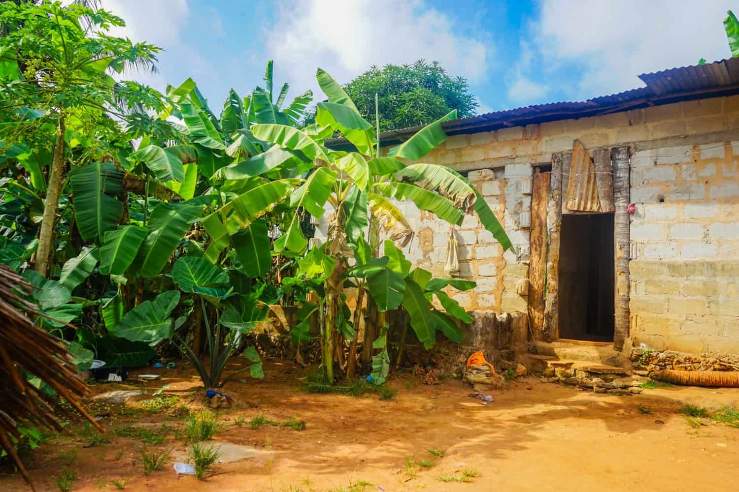 Village house in Zanzibar