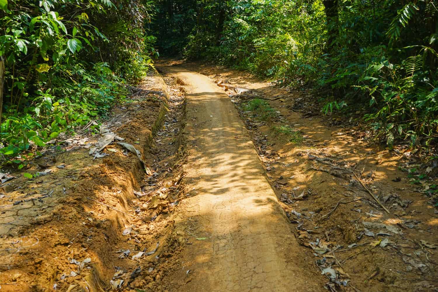Bad road on Koh Mak