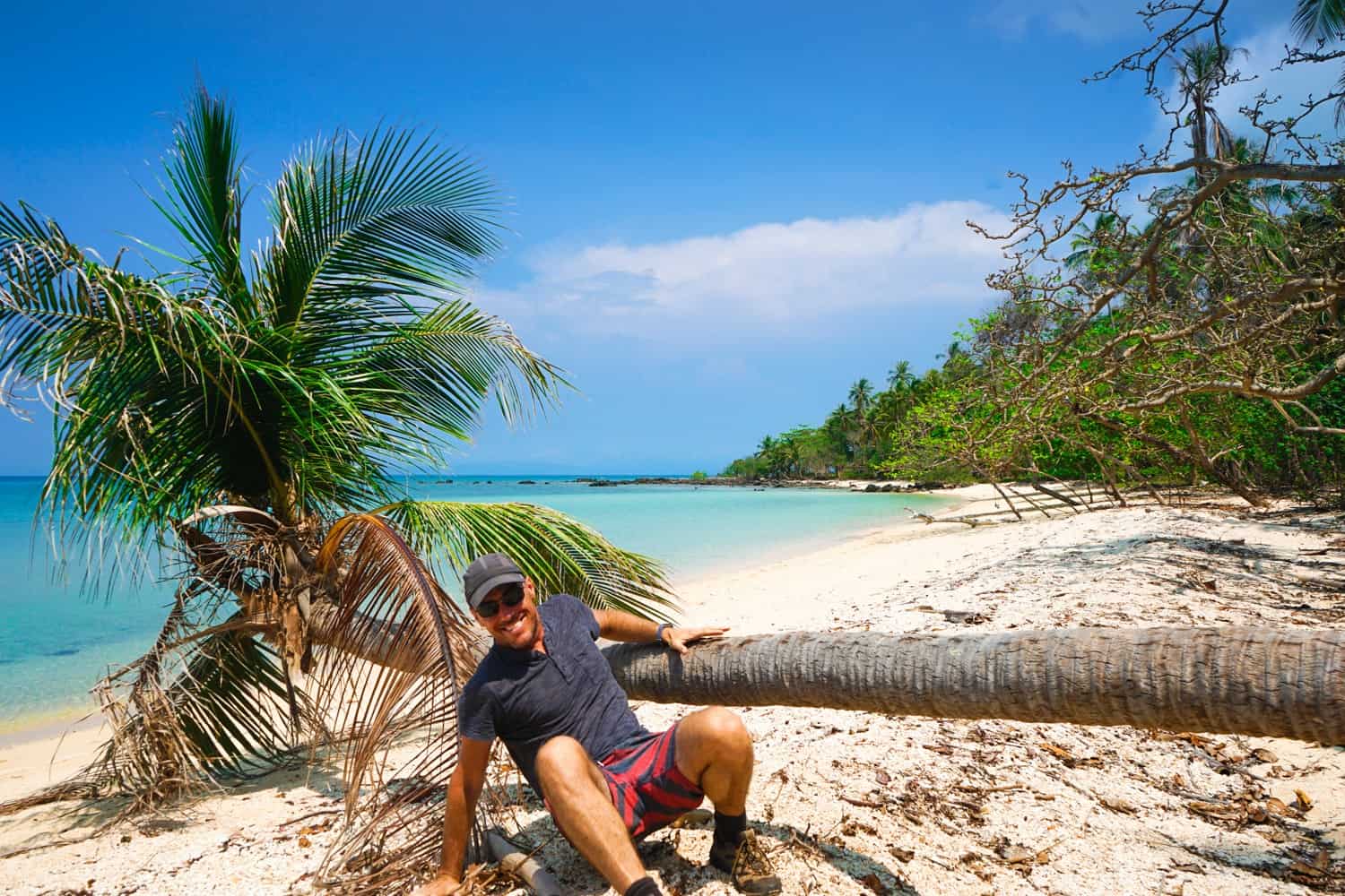 Man falling off palm tree on beach